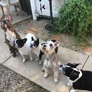 Meet your Posher, Diana